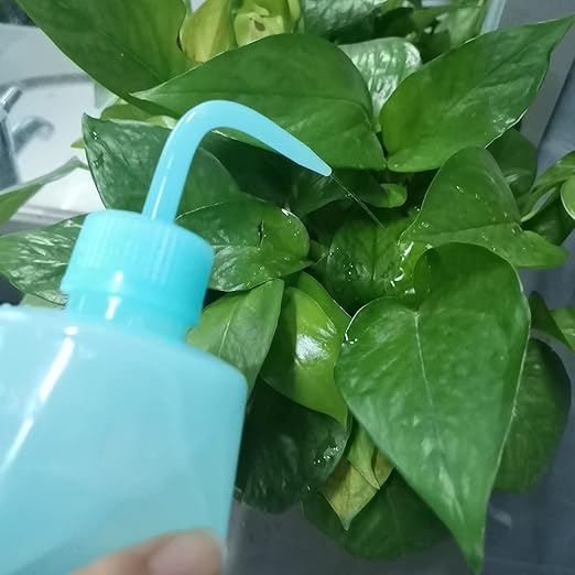 Valchoose Medical Squeeze Bottle 250ml, 8.5oz, Premium (Blue) Wash Bottle LDPE No Leaking （1Pack）