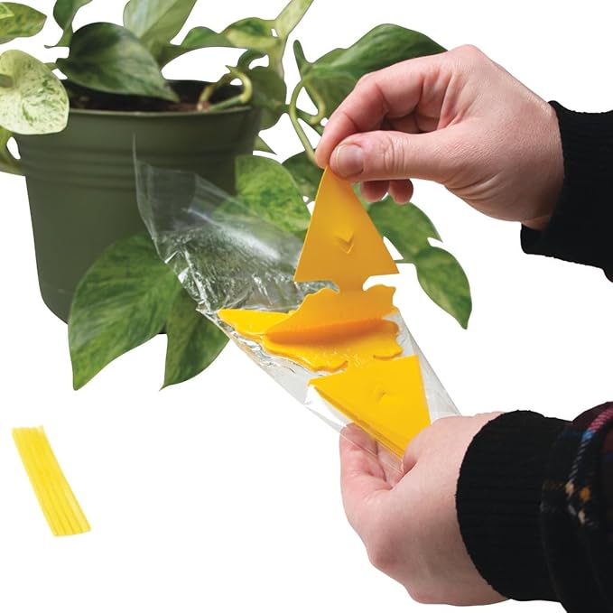 Intruder 21085 The Better Bugtrap for Plants with Hangties 10 Pack