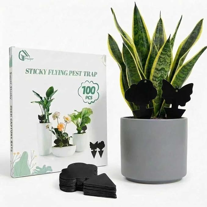 100 Pcs Sticky Traps for Fungus Gnat (Plants), Fruit Fly, Whitefly, and Fly, Yellow Sticky Insect Catcher Traps for Indoor/Outdoor, Kitchen, and Plants, High-End Glue, Non-Toxic (100 Pcs Black)