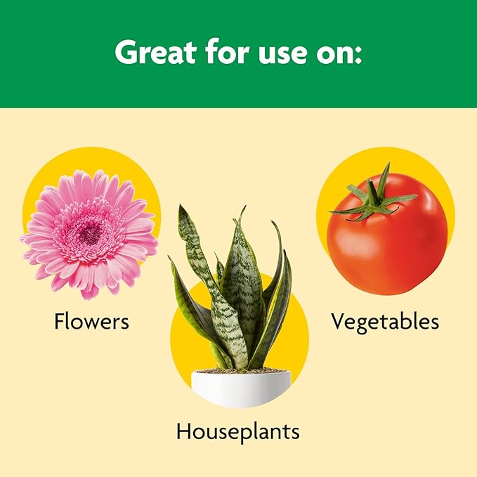 Miracle-Gro Shake 'N Feed All Purpose Plant Food - Outdoor and Indoor Plant Food for In-Ground and Containers, Feeds for up to 3 Months, 8 lbs.