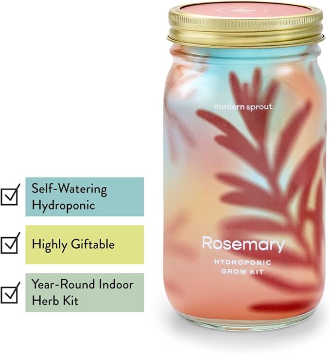 Modern Sprout Mason Garden Jar - Self-Watering Hydroponics Growing System Kit w/Organic Herb Seeds - Sprouting Jar Planter for Indoor Herb Garden - Seed Starter Kit - Decor & Gifting - Basil+Rosemary
