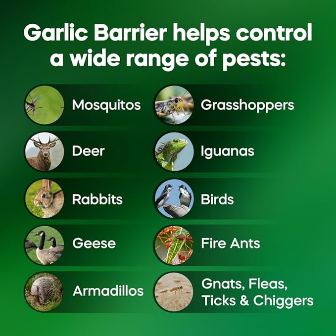 Liquid Garlic Insect Repellent Concentrate, 32 fl oz (2 Pack) – OMRI Listed Garlic-Based Formula for Farms, Crops, Gardens & Greenhouses – Indoor & Outdoor Plant Protection