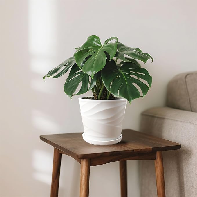 8 Inch Plant Pot,Ceramic Planter with Drainage and Saucer,Ceramic Pots for Plants,Indoor Plant pots,Ceramic Flower pots(Pure White)
