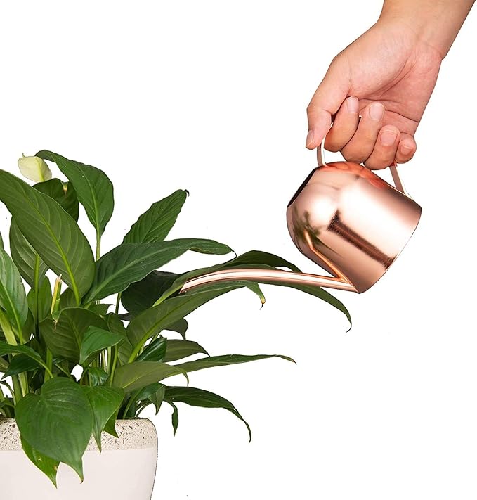 IMEEA Mini Indoor Watering Can for Small Plants, Stainless Steel with Long Spout, 15oz/450ml – Perfect for Desk, Windowsill & Bonsai