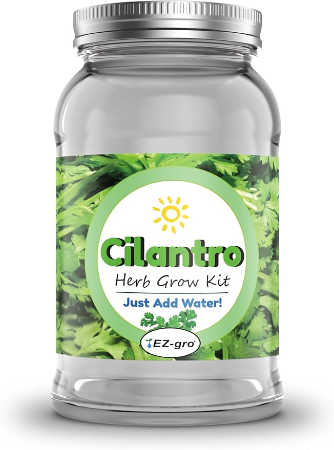 Lavender Mason Jar Grow Kit by EZ-gro | Our Mason Jar Indoor Herb Garden is Herbs in a Jar with Lavender Seeds | EZ-gro Lavender Plant Kit is a Hydroponic Gardening Systems (Cilantro)