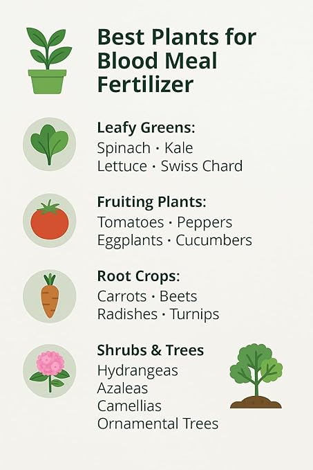 𝐁𝐄𝐒𝐓𝐒𝐄𝐋𝐋𝐄𝐑 Organic Blood Meal Fertilizer by Gardenera - 12-0-0 NPK - All-Natural Plant Food Source of Nitrogen for Organic Gardening, Flowers, Vegetables, Trees & Shrubs - 1 Quart