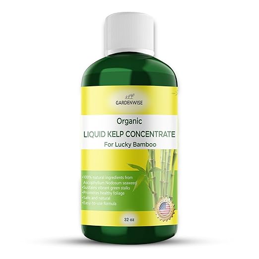 GARDENWISE Organic Premium Kelp Seaweed Fertilizer for Lucky Bamboo - Liquid Plant Food - Hydroponics - Soil Enhancer - Natural (32 OZ)