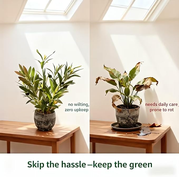 Indoor Faux Olive Plant 12 inch Artificial Silk Leaves in Elegant Planter Perfect Fake Olive Branches with Realistic Trunk and Lifelike Fruits Tabletop Greenery Decor for Home Office