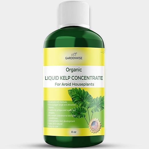 GARDENWISE Organic Premium Seaweed Fertilizer - Liquid Kelp Plant Food for Aroid Houseplants: Monstera, Philodendron, Pothos, ZZ Plant, Dieffenbachia, Alocasia, Caladium (8 OZ)