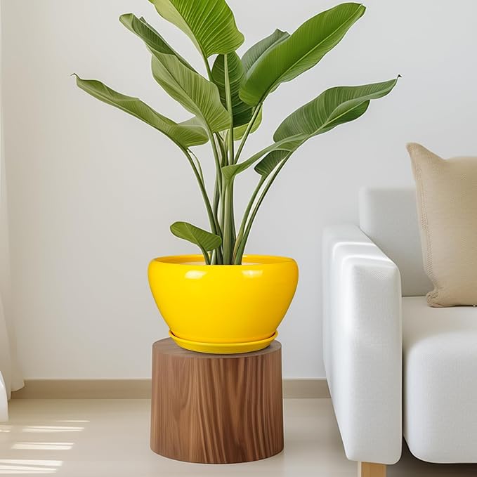 Ceramicfor Indoor Planter 11 Inch - Decorative Mid-Century Large Ceramic Plant Pot for Outdoor Plants with Drainage Hole and Saucer, Home Balcony House Garden Patio Office Room Decor, Yellow