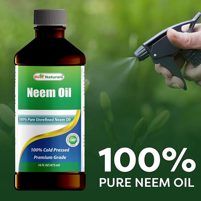Best Naturals 100% Pure Neem Oil, 100% Cold Pressed and Unrefined - 16 OZ (2 Bottles)