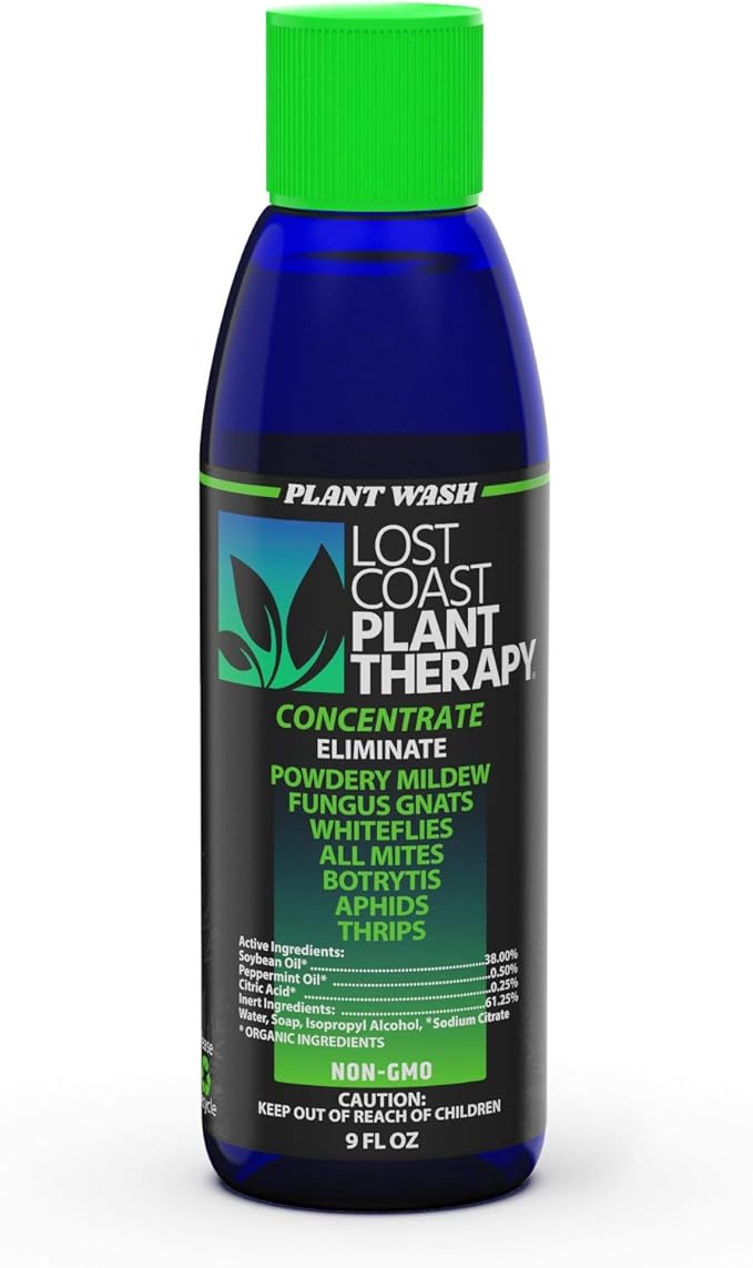 Lost Coast Plant Therapy- Plant wash 9OZ