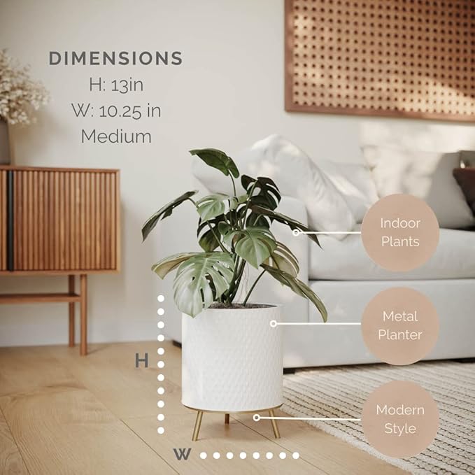 EverNest Claire Honeycomb Neutral White Planter with Nyra Stand, Indoor Plant Pots, SelectBase, Mid-Century Modern, Boho Style Home Decor for Plants (Medium, Gold)