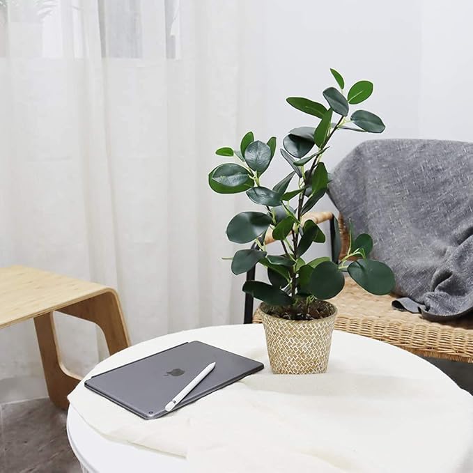 SAROSORA Artificial Ficus Tree Small Fake Plants in Weaved Pot 20" Height for Living Room Desktop Decor Indoor Home Office Ins Style (Green, 1)