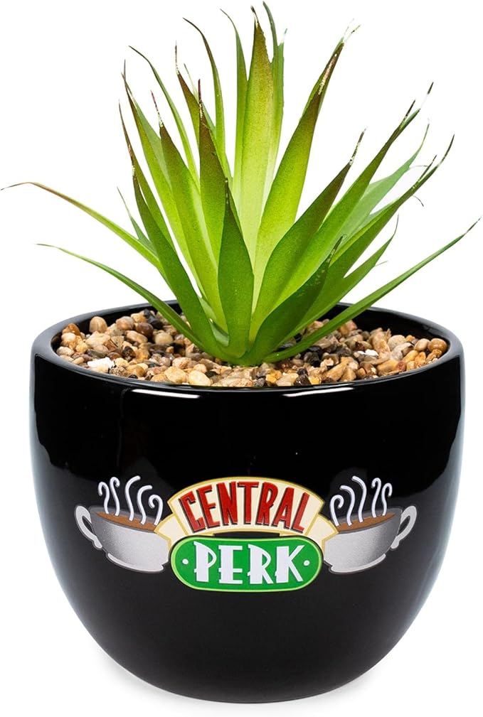 Silver Buffalo Friends Central Perk Logo Decorative Artificial Faux Greenery Plant in Ceramic