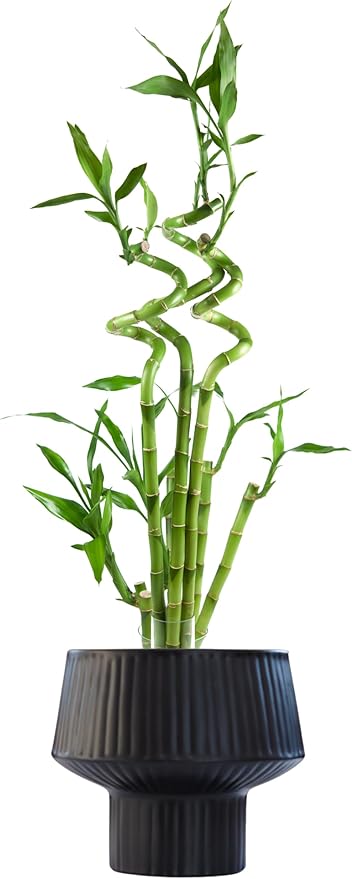 Wide Top Modern Handmade Metal Indoor Planter with Unique Shape, Vertical Grooved Design and Anti-Scratch Pads, Rust-Resistant Finish that is Sustainable Non-Plastic Pot Recyclable Metal Vase (Black)