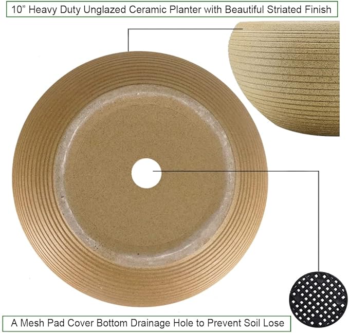 MUZHI 9.5” Round Large Ceramic Bonsai Bowl Planter，Clay Succulent Plant Pot Container with Saucer
