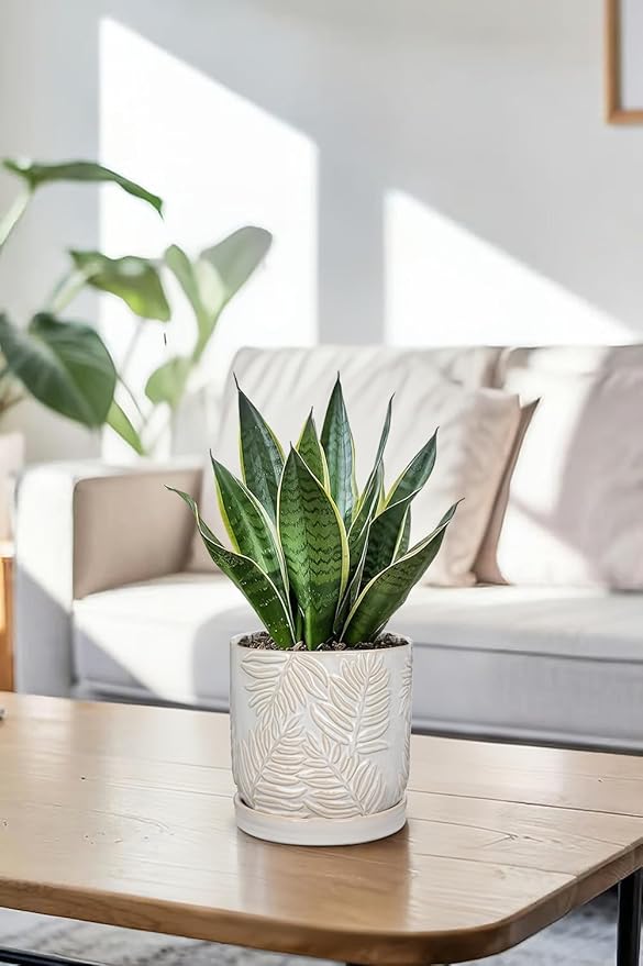 GnFlus 5.5 Inch Ceramic Planter Pots with Drainage Holes, Saucers for Indoor-Outdoor Plants, Succulent Orchid Flower Large Round Plant Pot Lvory White
