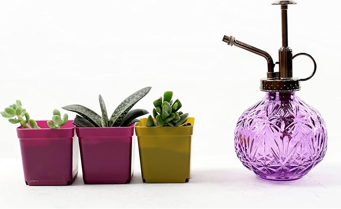 Hniuyun Glass Plant Mister Spray Bottle, 6.5inch Tall Vintage Round Spritzer with Bronze Plastic Top Pump for Watering Your Garden (Purple)