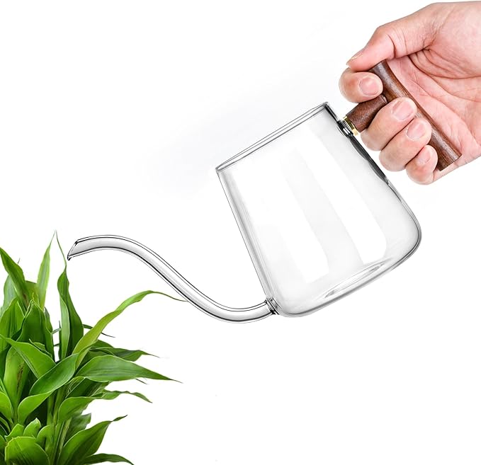 FrutPunch Watering Can Indoor Plants, 27 OZ Glass Watering Can, Long Curved Spout, Suitable for Indoor Plants, Bonsai Garden Flower Decoration