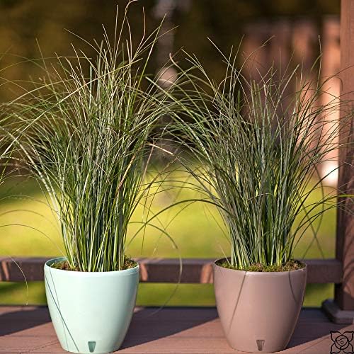 Santino 8.8 Inch Deco Self Watering Pots for Indoor Plants in Lime (Set of 3) - Decorative Flower Pot with Water Level Indicator and Drainage Cartridge for All House Plants, Flowers and Herbs