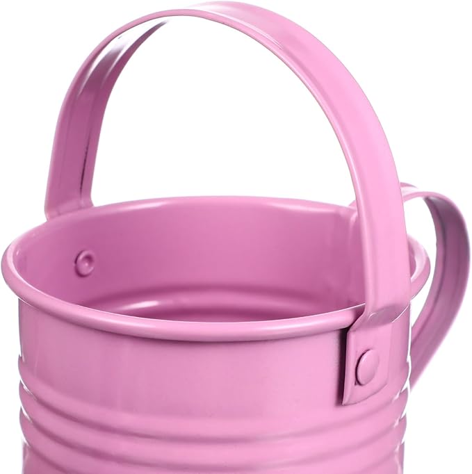 6PCS Kids Metal Watering Can Indoor Plants Small Watering Can for Indoor Plants Mini Gardening Tool Tiny Kettle for Gardening