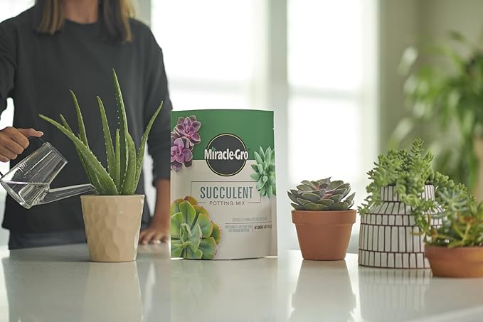 Miracle-Gro Succulent Potting Mix - Potting Soil Mix for Indoor Succulents, Aloe Vera and More, Made with Miracle-Gro Plant Food, 4 qt. (2-pack)