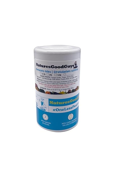 12,500 Live Hypoaspis Miles (Predatory Mites) For Insects - Guaranteed Live Delivery!