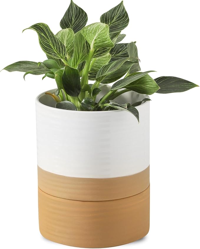 HASENSE Self Watering Plant Pot, 6 Inch Porcelain Planter with Drainage Hole and Saucers for Indoor & Outdoor Plants, Round Flower Pots for Houserwarming Gift, White