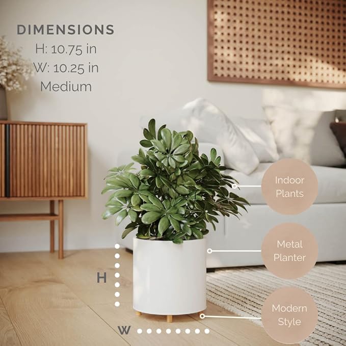 EverNest Raya White Minimalist Indoor Plant Pot with Peg Leg Stand, 10-Inch Plant Holder, SelectBase, Mid-Century Modern Plant Pot, Minimal Neutral Home Decor (Medium, 2 Gallon)
