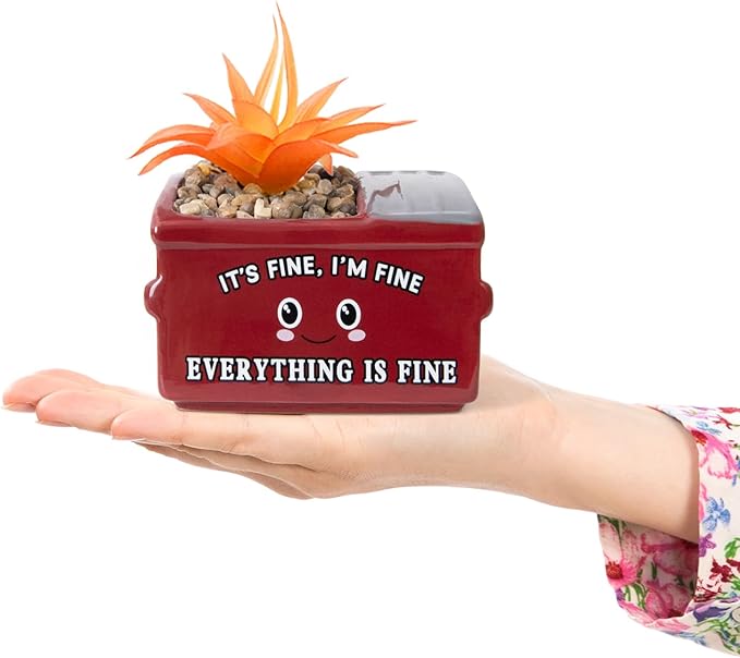 Dumpster Fire Fake Plants in Ceramic Succulent Pots Desk Decor, Emotional Support Positive Thinking Office Desk Accessories, Motivational Gifts for Women, Men, Coworkers