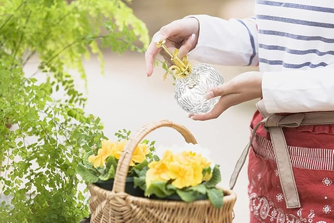 Glass Plant Mister Water Spray Bottle, Succulent Watering Bottle with Plastic Top Pump, 200 ML Capacity Vintage Style Plant Sprayer, Small Watering Can for Indoor Outdoor House Plants - Clear