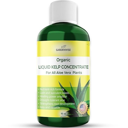 GARDENWISE Organic Premium Kelp Seaweed Fertilizer - Liquid Hydroponics Fertilizer - Liquid Plant Food - Nutrient-Rich Soil Enhancer - Natural Plant Food for Aloe Vera (16 OZ)