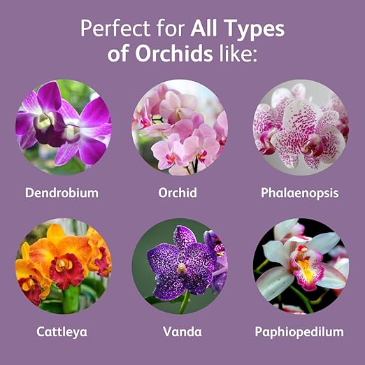 Chrysal Orchid Food Drops — Orchid Care — One Pack for a Year Supply — Concentrated Flower Food for All Species of Orchids — Ideal Florist Supplies — Outdoor and Indoor Plant Food