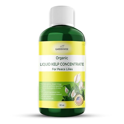 GARDENWISE Organic Premium Kelp Seaweed Fertilizer for Peace Llily - Liquid Plant Food - Nutrient-Rich Soil Enhancer - Natural Plant Food for Spathiphyllum (32 OZ)
