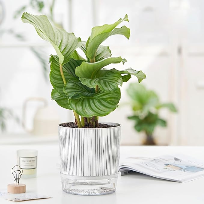 3 Pack 4.3+5.5+6.3 Inch Self Watering Pots Set, Self Watering Planter with Reservoir and Wick Rope for Indoor/Outdoor Plants, Modern Houseplants Pots for African Violets,Cactus,Succulents