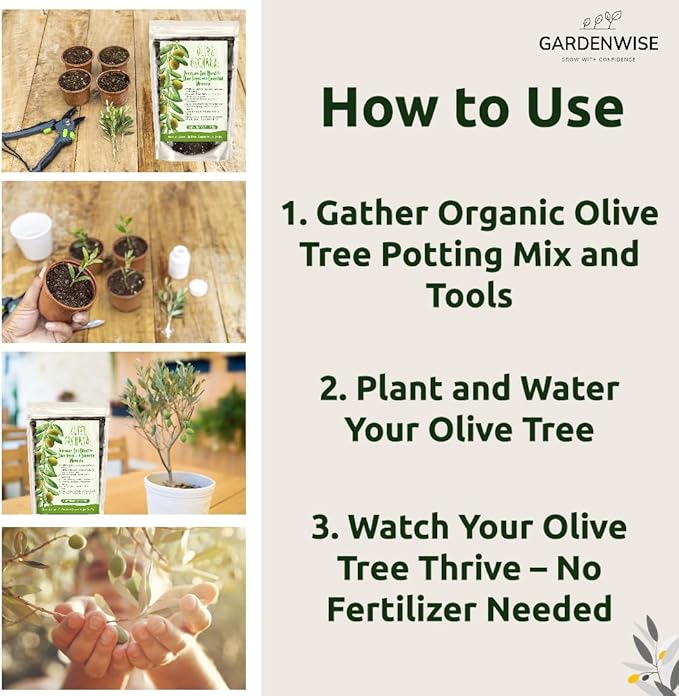 GARDENWISE Organic Olive Tree Potting Mix – Fast-Draining, Nutrient-Rich Soil for Indoor & Outdoor Olive Trees – Mediterranean Plant Care – Long-Lasting Formula (10 QUARTS)