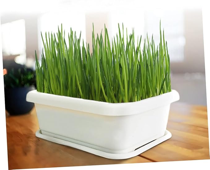 SUPVOX 1pc Vegetable Planter Container Plastic Growing Pot for Use Simple Design Drainage Mesh for Optimal Water Control for Garden and Patio Decor