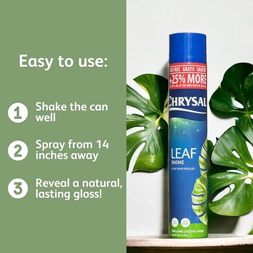 Chrysal LeafShine Spray for Indoor Plants (25oz 12 Pack)