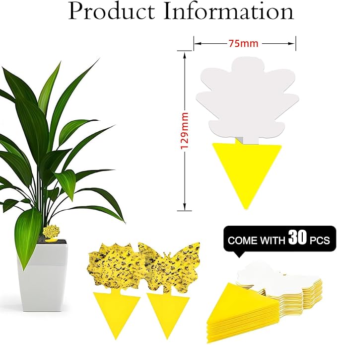 Fruit Fly Trap for Indoors Fungus Gnat Killer Indoor Sticky Traps for Mosquito and Flying Insects Yellow Sticky Paper Sheets 30 Pack Succulents