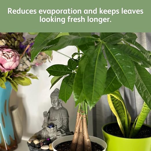 Chrysal LeafShine Spray for Indoor Plants (25oz 12 Pack)