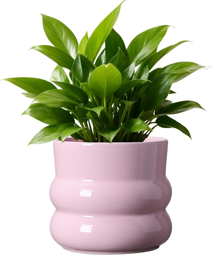 6 Inch Plant Pot,Ceramic Planter Pot with Drainage Hole,Indoor Planters for Herbs Plants,Ceramic Flower Pots for Indoor/Outdoor Plants,Home Office Garden Décor,Pink