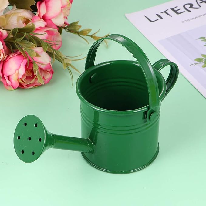 DOITOOL Kids Metal Watering Can, 2pack Small Iron Watering Can for Gardening Succulents Bonsai Houseplants, Mini Water Pot for Children Sprinkling Bucket (Mixed Style: Beige, Blue)