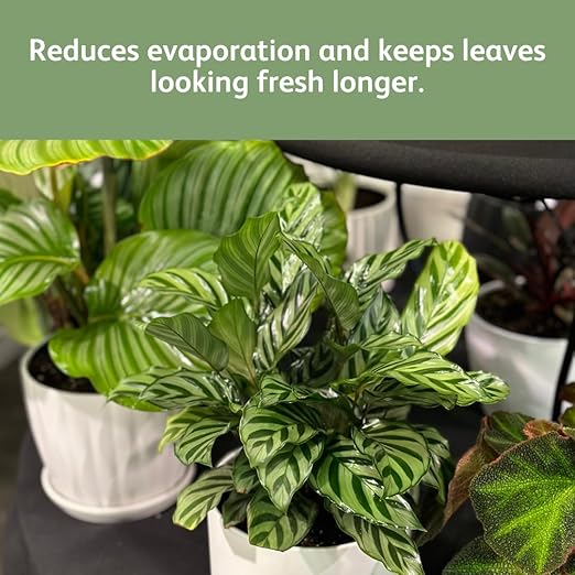 Chrysal LeafShine Spray for Indoor Plants - 5.6 oz (250 ml)
