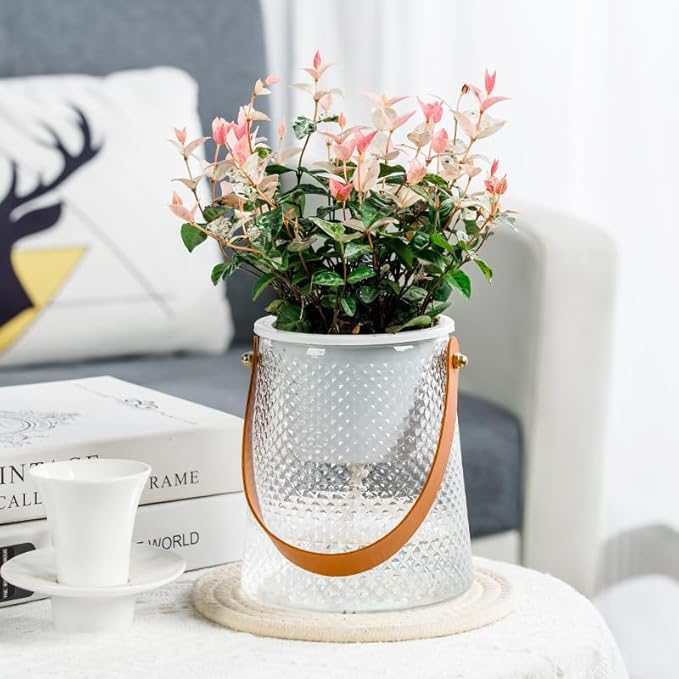Self Watering Planters 5.9 Inch Self Watering Pots for Indoor Plants, African Violet Pots with Wick Rope, Flowers, Succulents, Herb, House Plants (Transparent Color)
