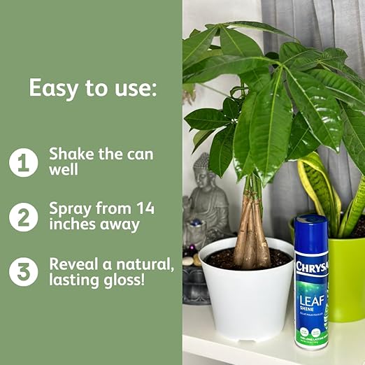 Chrysal Leaf Shine Spray for Indoor Plants – Flower Arrangement Spray for Flower Bouquets, House Plants, & More – Environmentally Safe Plant Cleaner Removes Dust – Flower & Gardening Supplies (2 Pack)
