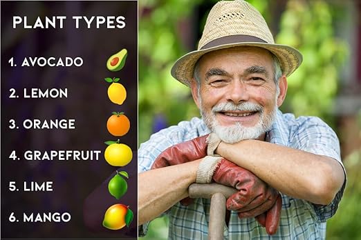 𝐁𝐄𝐒𝐓𝐒𝐄𝐋𝐋𝐄𝐑 6-4-6 Avocado Citrus Tree Plant Food for Outdoor/Indoor Gardening | Quick-Release Nitrogen Fertilizer | Orange, Lime, Avocado and Lemon Tree Fertilizer [8 OZ]