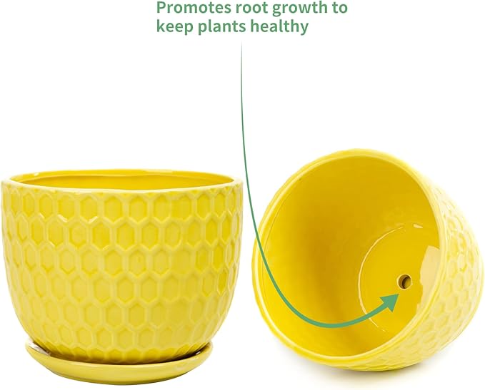 Yellow Ceramic Flower Pots with Saucers, Modern Round Ceramic Succulent Plant Pots with Honeycomb Inspired Texture Design, Small to Medium Sized, Set of 3