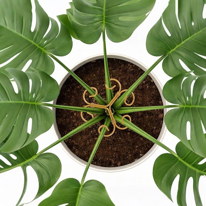 Iron Monstera Support, 3 PCS Plant Stem Support Plant Support Stakes for Indoor Plants and Flowers Stable Plant Stakes and Supports Turtle Shell Bamboo Clamp Set for Thriving Growth