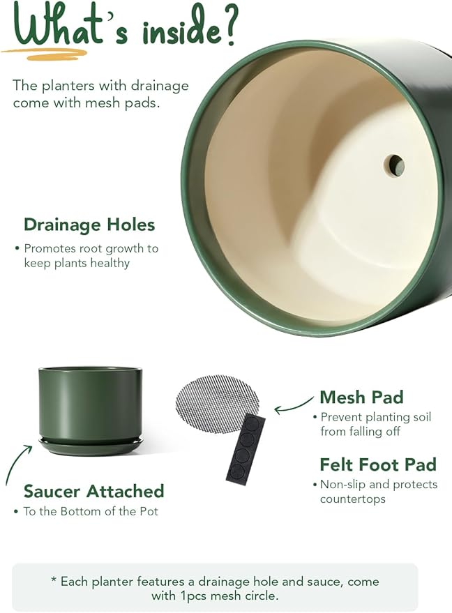 LE TAUCI Ceramic Pots for Plants, 10 Inch Plant Pot with Drainage Hole & Saucer, Sturdy & Modern Planters for Indoor Plants, Includes Mesh Screen, Fits Snake Plant & Monstera, Forest Green